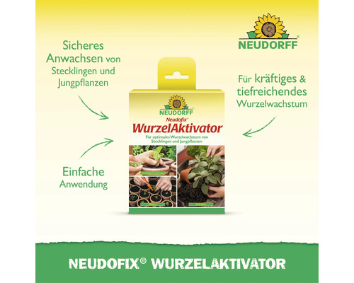 Poudre activatrice de racines Neudorff Neudofix pour favoriser la croissance racinaire des boutures et jeunes plantes pour une reprise assurée.