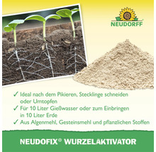 Activateur de racines Neudorf Neudofix en poudre pour favoriser la croissance racinaire des boutures et après le rempotage des plantes.