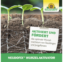 Activateur de racines Neudorff Neudofix pour la croissance des racines des boutures et des jeunes plantes avec logo Neudorff