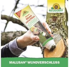 Mastic cicatrisant Malusan Neudorff en tube avec applicateur pinceau pour le traitement des plaies sur arbres fruitiers et ornementaux.