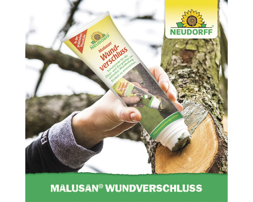 Mastic cicatrisant Malusan Neudorff en tube avec applicateur pinceau pour le traitement des plaies sur arbres fruitiers et ornementaux.