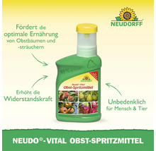 Produit phytosanitaire Neudorff Neudo-Vital pour le soin des arbres et arbustes fruitiers dans un flacon en plastique avec logo Neudorff