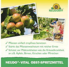 Neudorff Neudo Vital traitement pour arbres fruitiers pour renforcer les arbres avec des informations produit et le logo Neudorff.