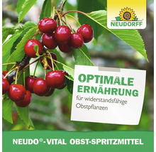 Neudorff Neudo Vital traitement pour arbres fruitiers pour des plantes résistantes avec cerises sur une branche et logo Neudorff.