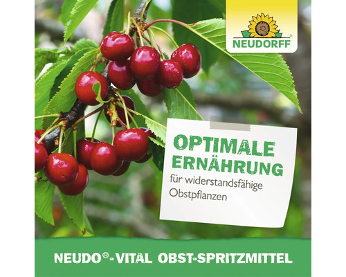 Neudorff Neudo Vital traitement pour arbres fruitiers pour des plantes résistantes avec cerises sur une branche et logo Neudorff.