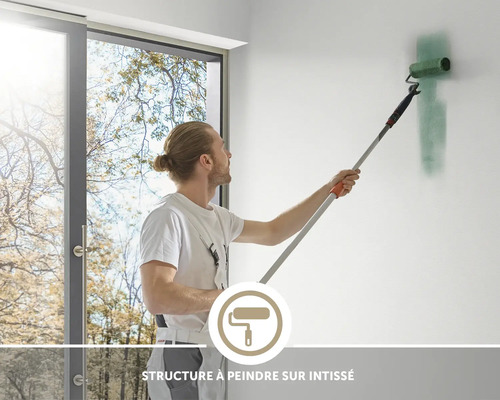 Un peintre peint un mur avec un rouleau et une perche télescopique, avec symbole pour papier peint intissé à peindre.