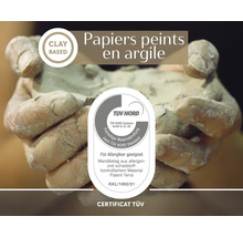 Des mains tiennent de l'argile pour papier peint en argile avec certificat TÜV NORD pour personnes allergiques.