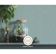 Strukturierte Lehm-Tapete an einer Wand mit Dekoration durch eine Pflanze und ein Terrarium auf einem Regal.