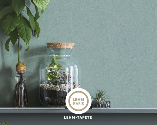 Strukturierte Lehm-Tapete an einer Wand mit Dekoration durch eine Pflanze und ein Terrarium auf einem Regal.