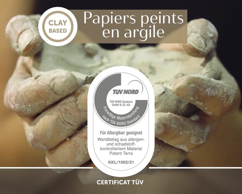 Des mains tiennent de l'argile pour papier peint en argile avec certificat TÜV NORD pour personnes allergiques.