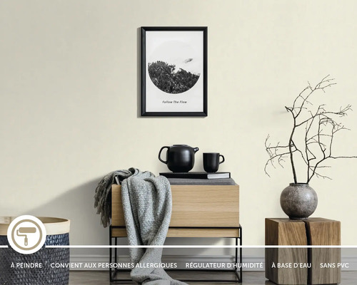 Espace de vie avec un mur peint, des meubles en bois décoratifs et des accessoires, et des icônes pour peinture murale saine.