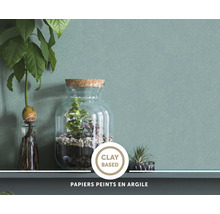 Papier peint texturé à base d argile dans un intérieur avec une plante en bocal sur une étagère.