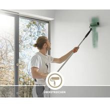 Ein Maler streicht eine Wand mit einer Farbrolle und einem Teleskopstab, Symbol für das Überstreichen von Wandflächen.