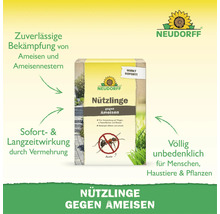 Emballage de Neudorff Nuetzlinge gegen Ameisen avec des informations sur l efficacité et l utilisation contre les fourmis dans le jardin.