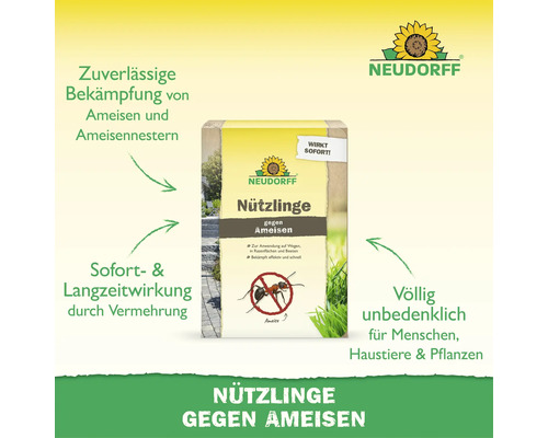 Emballage de Neudorff Nuetzlinge gegen Ameisen avec des informations sur l efficacité et l utilisation contre les fourmis dans le jardin.