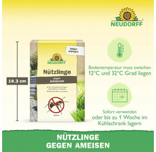 Neudorff insectes utiles contre les fourmis produit biologique avec instructions d application plage de temperature et informations de stockage.