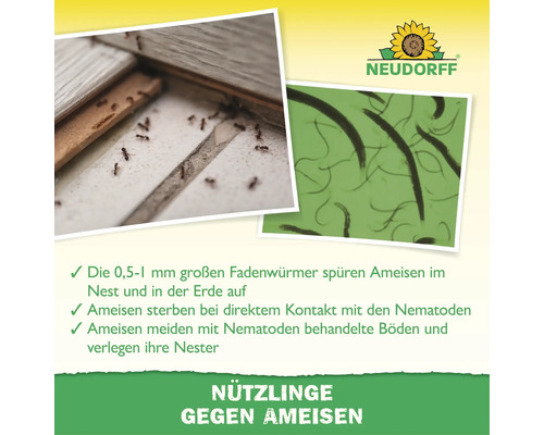 Logo Neudorff, insectes utiles contre les fourmis avec nématodes pour la lutte contre les fourmis.