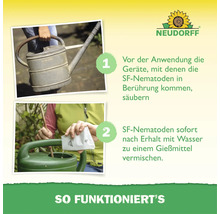 Instructions d utilisation des nématodes SF Neudorff en deux étapes avec le logo Neudorff et les conseils de nettoyage pour les arrosoirs.