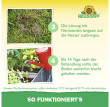Instructions pour l'application de nématodes avec logo Neudorff: appliquer la solution sur les nids et maintenir le sol humide entre 12 et 32 degrés.