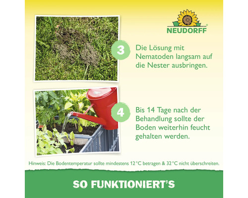 Instructions pour l'application de nématodes avec logo Neudorff: appliquer la solution sur les nids et maintenir le sol humide entre 12 et 32 degrés.