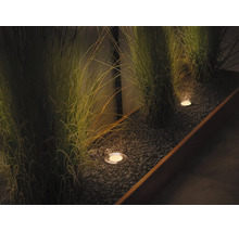Spots encastrés modernes dans une jardinière remplie de gravier éclairant des herbes ornementales pendant la nuit.