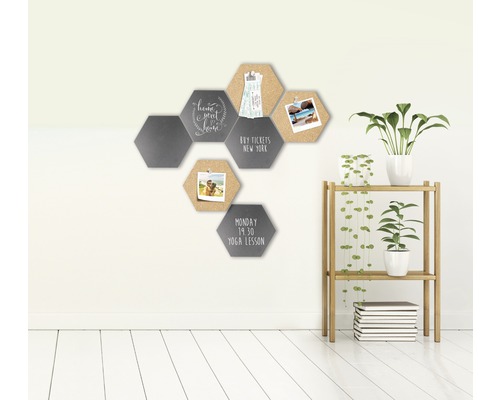 Mur avec panneaux d''affichage hexagonaux et étagère avec plantes