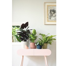 Übertopf elho Vibes fold Kunststoff Ø 22 cm H 20,2 cm zartrosa