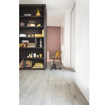 Pièce lumineuse avec bibliothèque, chaise et chat sur sol stratifié