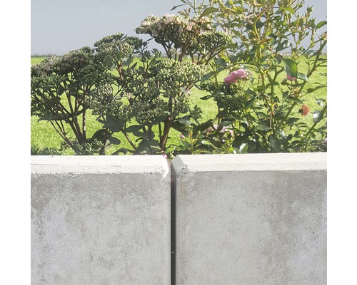 Betonbegrenzung mit Pflanzen