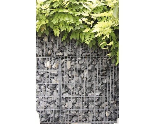 Gabion prêt à l'emploi 100 x 25 x 100 cm rempli de pierres pour gabions Nero Ebano 70-120 mm