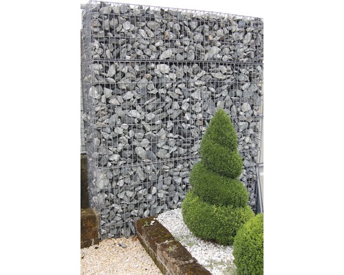 Gabionenwand mit Steinen und Buchsbaum im Garten
