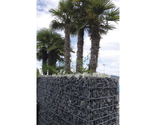 Gabion prêt à l'emploi 100 x 50 x 100 cm rempli de pierres pour gabions Nero Ebano 70-120 mm