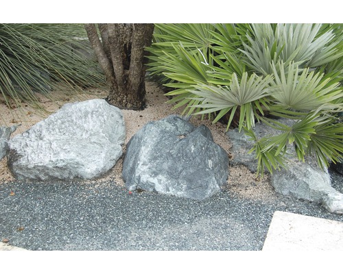 Roches décoratives et plantes dans le jardin