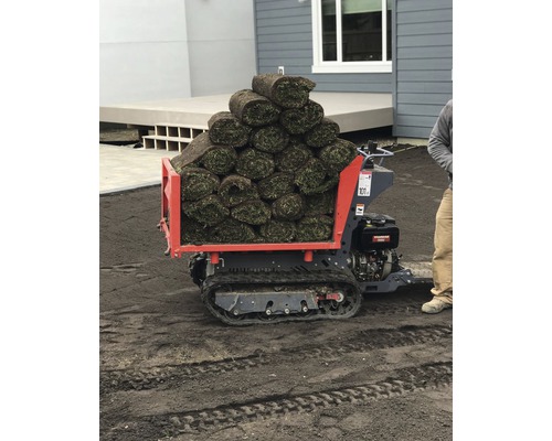 Véhicule de transport avec gazon en rouleau pour l''horticulture