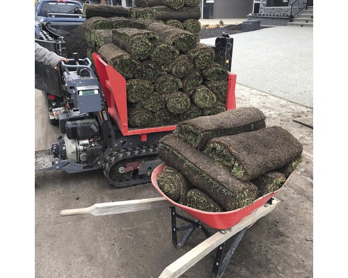 Rouleaux de gazon sur un véhicule de transport et une brouette