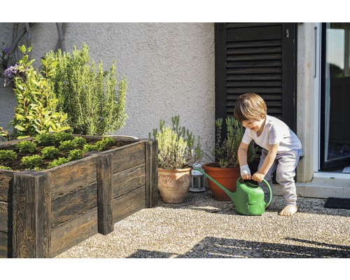 Garçon arrosant des plantes dans un potager surélevé avec un arrosoir