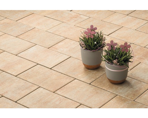 Pavés posés avec deux pots de fleurs