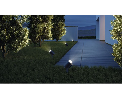 Vue du jardin avec pelouse, arbres et plusieurs spots au sol pour éclairer une maison