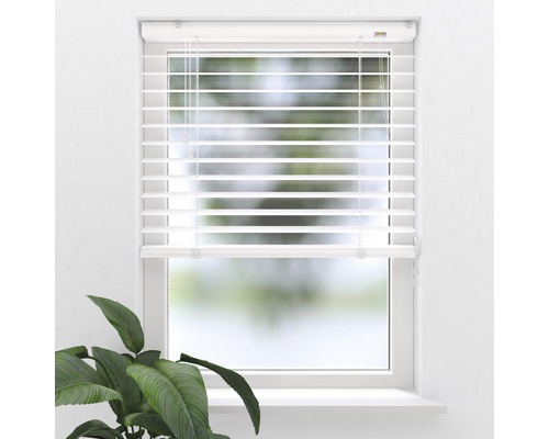 Fenêtre avec store vénitien horizontal pour réguler la lumière