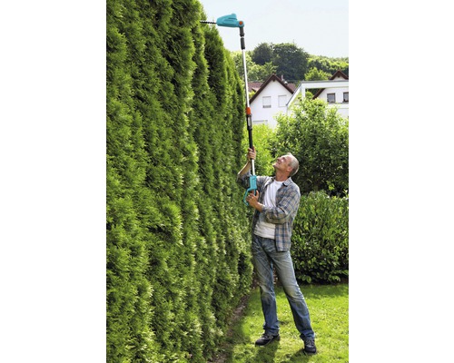 Mann schneidet hohe Hecke mit einer Akku-Heckenschere mit Teleskopstiel
