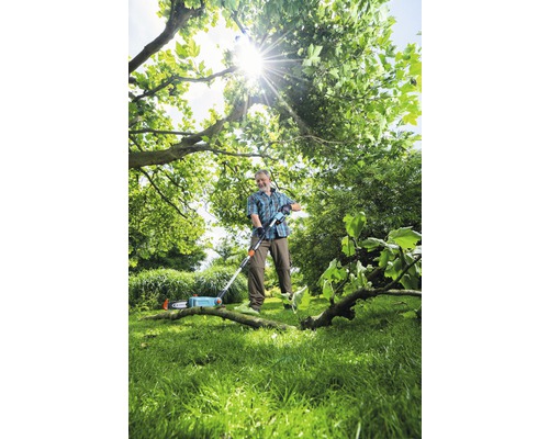 Mann schneidet mit einer Hochentaster Äste in einem Garten.