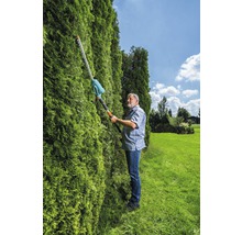 Eine Person schneidet eine Hecke mit einer Akku-Heckenschere mit Teleskopstiel im Garten.