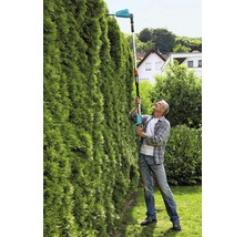 Mann schneidet hohe Hecke mit einer Akku-Heckenschere
