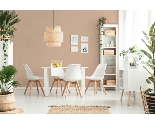 Salle à manger lumineuse avec table, chaises, suspension, étagère et plantes d''intérieur pour une ambiance conviviale.