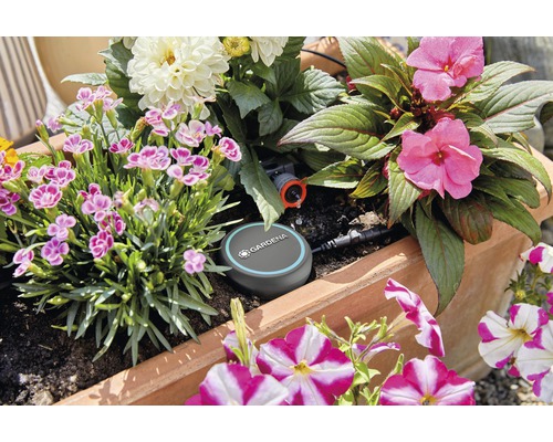 Blumenkasten mit Bewässerungssystem und verschiedenen blühenden Pflanzen