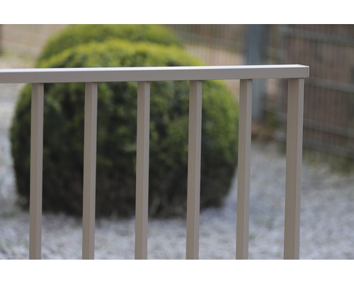 Metallzaun vor einem Garten mit Sträuchern