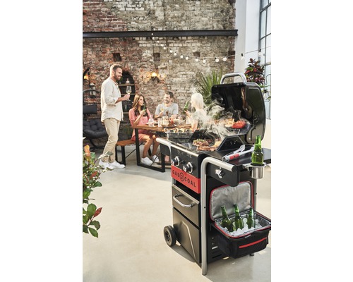 Szene mit Holzkohle-Gasgrill, der von Personen im Freien genutzt wird