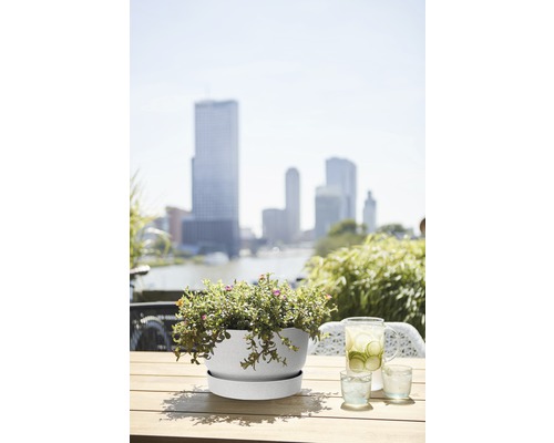 Blumentopf mit Untersetzer und Bepflanzung auf einem Tisch