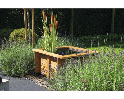 Quadratischer Holzgartenteich mit Rohrkolben und Lavendel im Garten