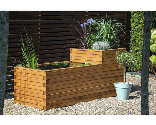 Bassin en bois avec plantes et petit arbre en pot